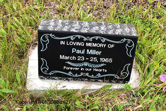 Paul Miller