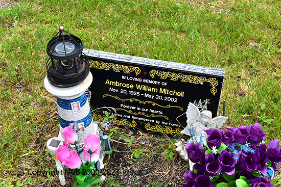 Ambrose William Mitchell