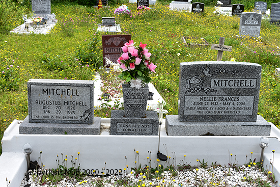 Augustus & Nellie Frances Mitchell