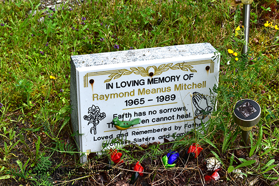 Raymond Meanus Mitchell0