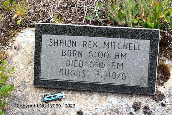 Shawn Rex Mitchell