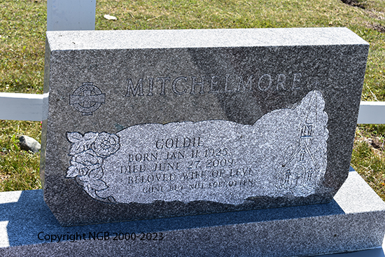 Levi & Goldie Mitchelmore