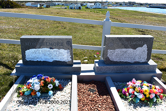 Levi & Goldie Mitchelmore