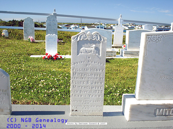 William Henry Mitchelmore