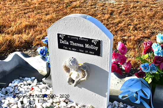 Della Theresa Molloy