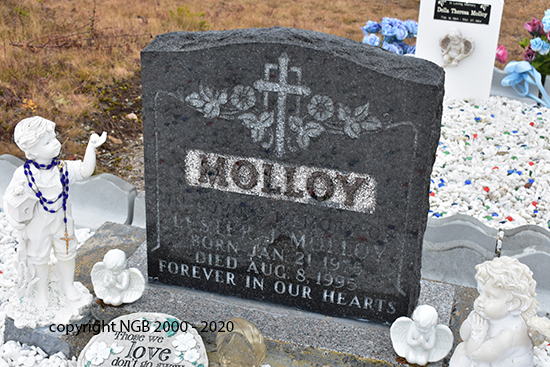 Lester J. Molloy