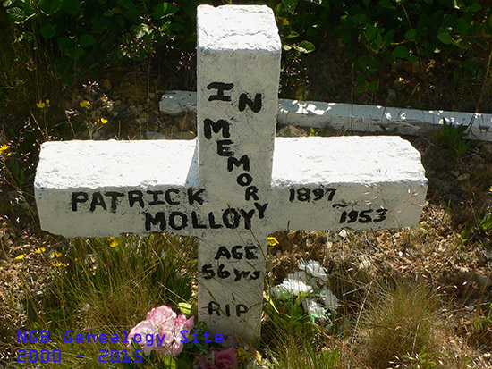 Patrick Molloy