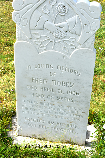 Fred Morey
