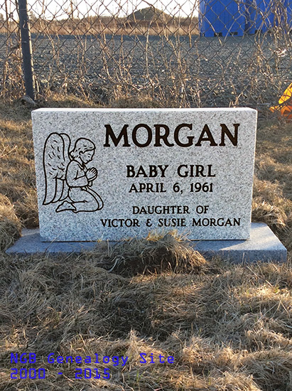 Baby Girl Morgan