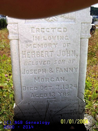 HERBERT JOHN MORGAN