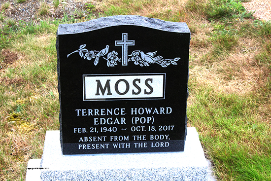 Terrence Howard Edgar Moss