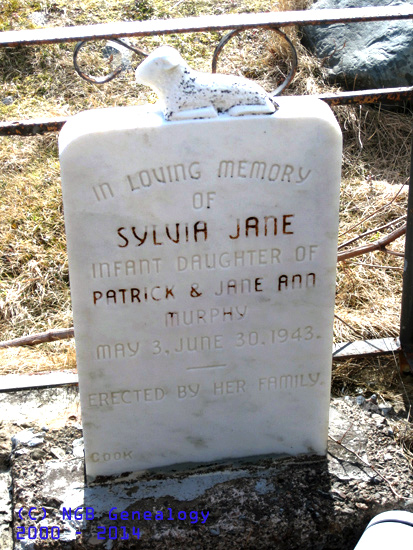 Sylvia Jane Murphy