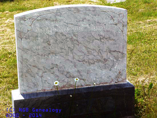 Alfred Seymour Murray