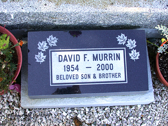 DAvid F. Murrin