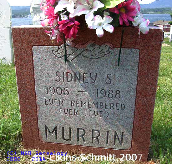 Sidney S. Murrin