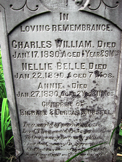 Charles William, Nellie Belle & Annie Mursell
