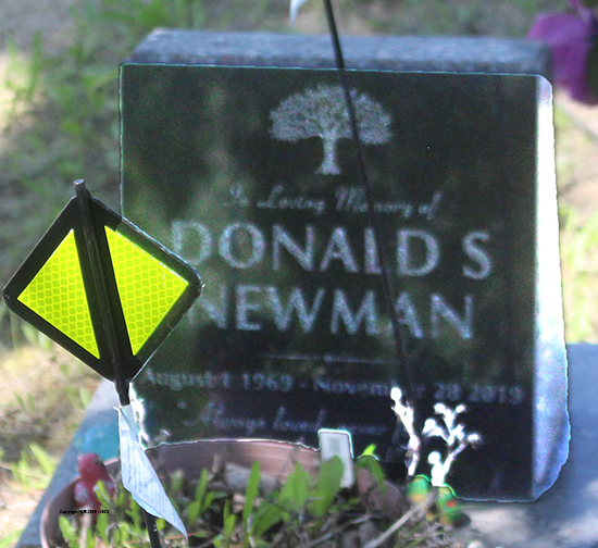 Donald S. & Hilda Newman
