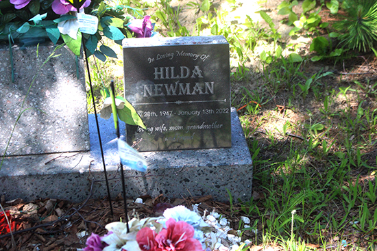 Donald S. & Hilda Newman