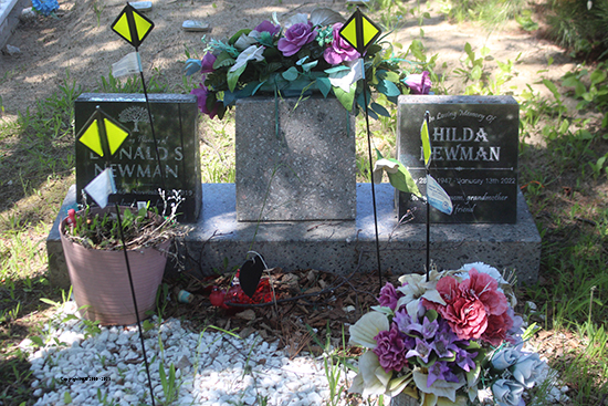 Donald S. & Hilda Newman