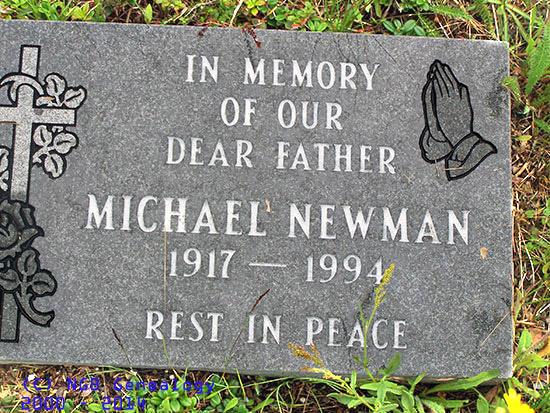 Michael Newman