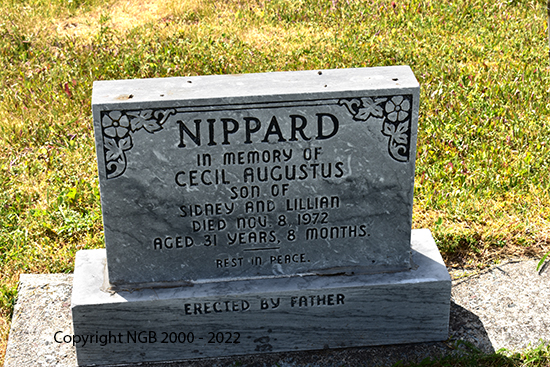 Cecil Augustus Nippard