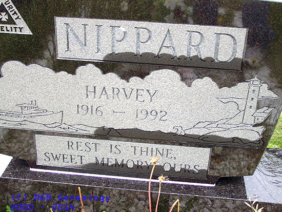 Harvey Nippard