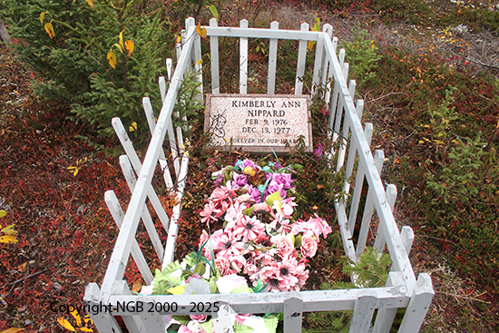 Kimberly Ann Nippard
