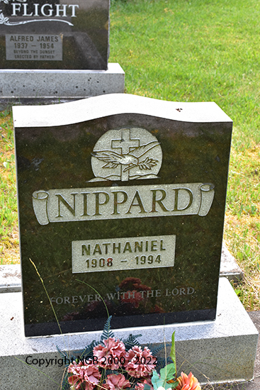 Nathaniel Nippard