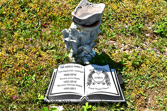 Irene Noble Lisa, Ronald Jr & Winson George  Noble