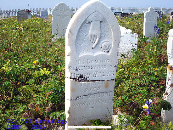 henry William Norman