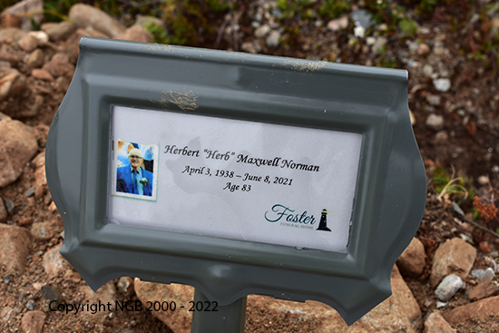 Herbert Maxwell Norman