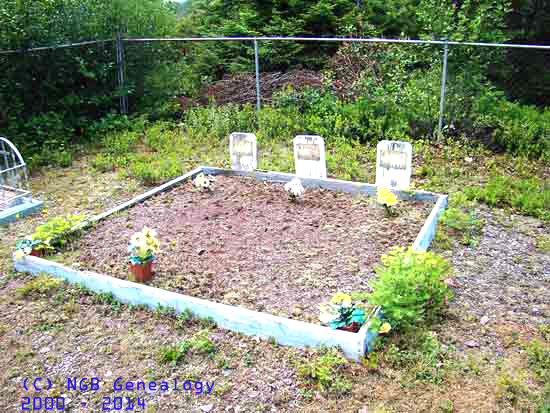 Norris Family Plot