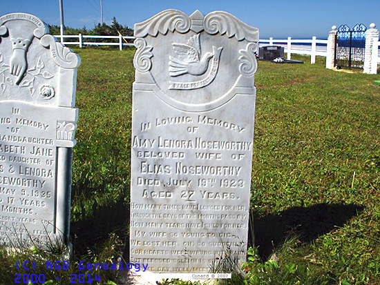 Amy Lenora Noseworthy