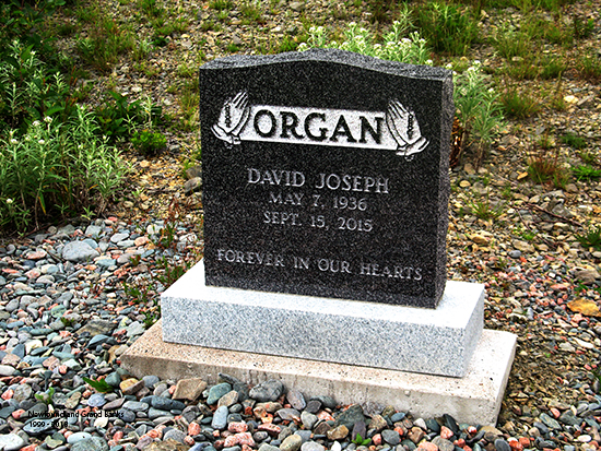 David Joseph Organ