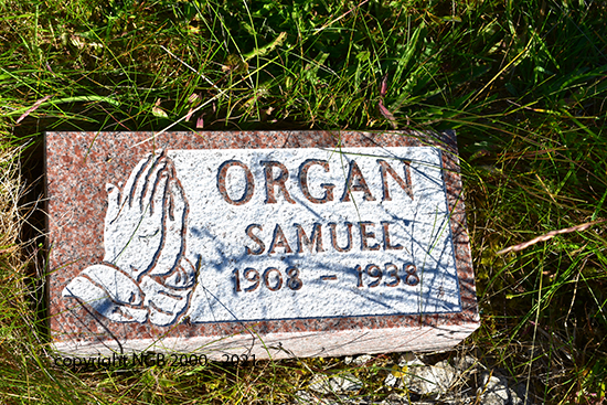 Samuel Organ