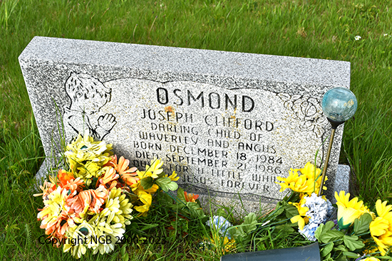 Joseph Clifford Osmond