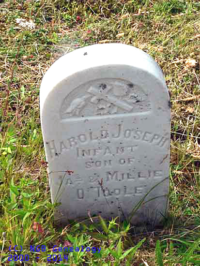 Harold Joseph O'Toole