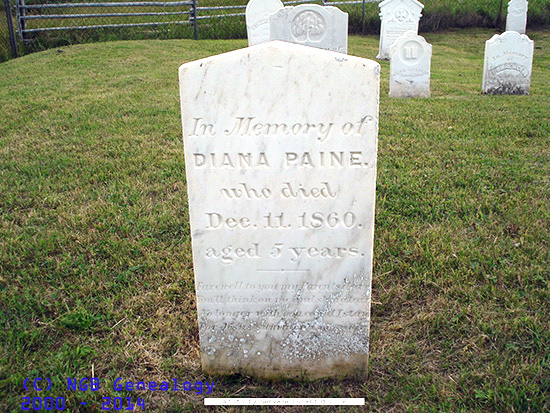 Diana Paine