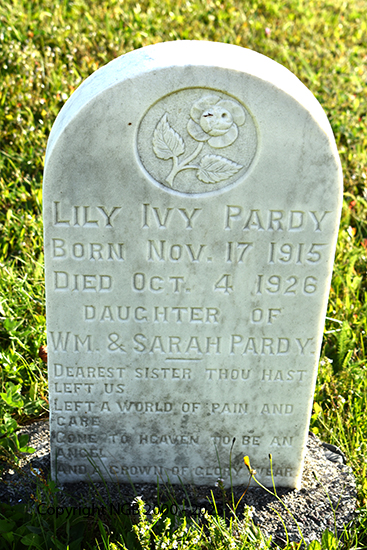Lily Ivy Pardy
