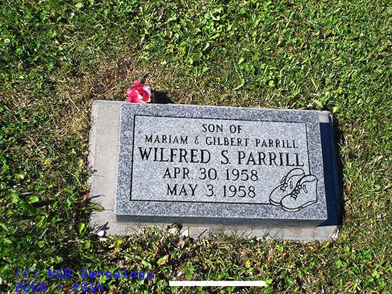 Wilfred S. Parrill