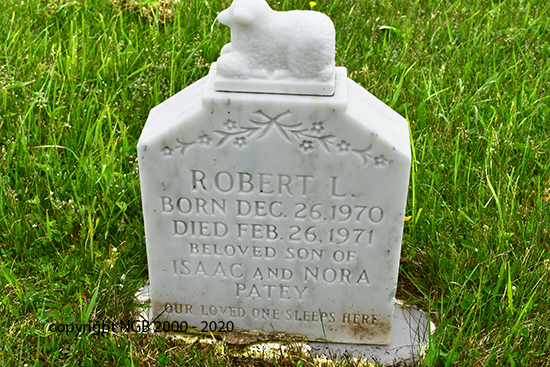Robert L. Patey