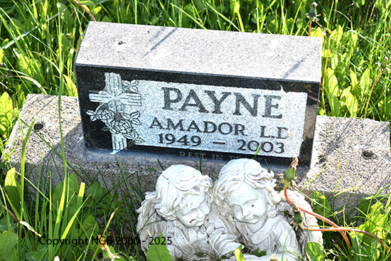 Amador L. D. Payne