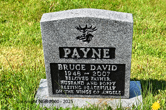 Bruce David Pyne