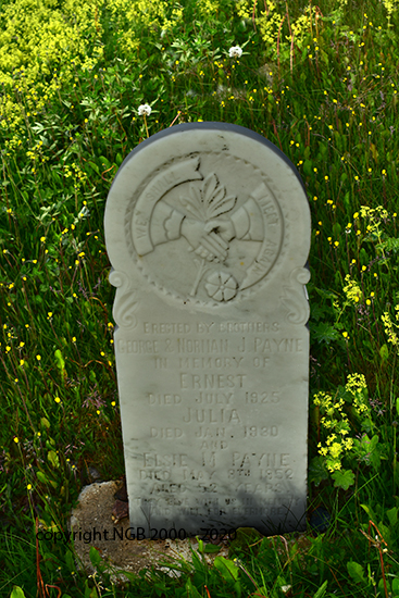 Ernest, Julia & Elsoe M. Payne