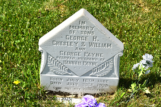 George H. Cheslkey & William and William Payne