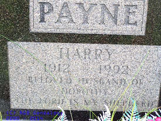 Harry Payne