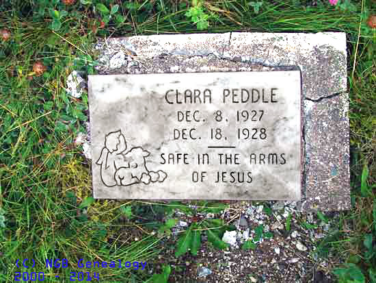 Clara Peddle
