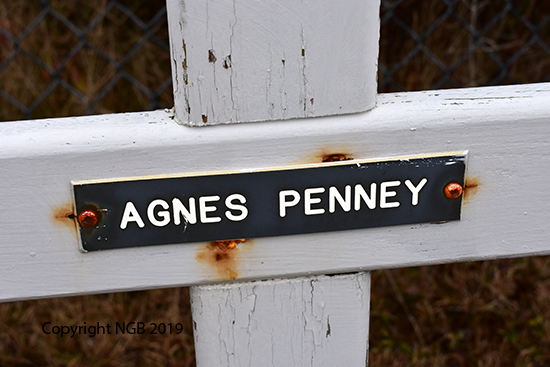 Agnes Penney