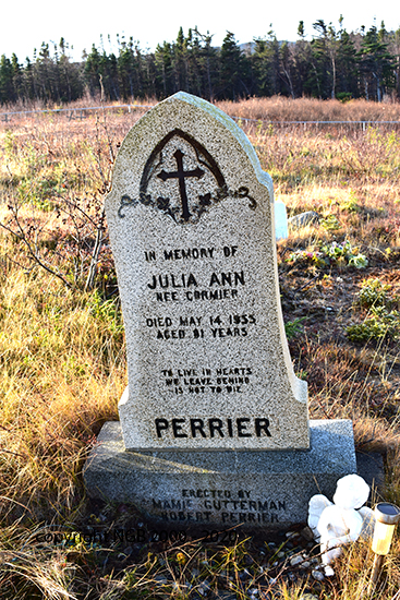 Julia Ann Perrier