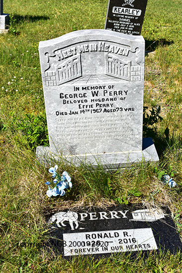 Ronald R. & George W Perry